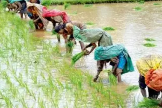 ‘Krishi Vigyan Kendra’ caters to farming and agriculturists in South