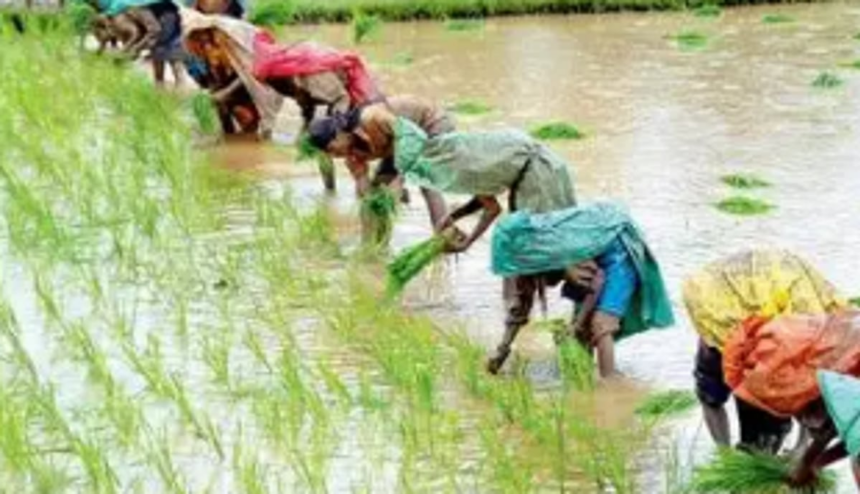 ‘Krishi Vigyan Kendra’ caters to farming and agriculturists in South