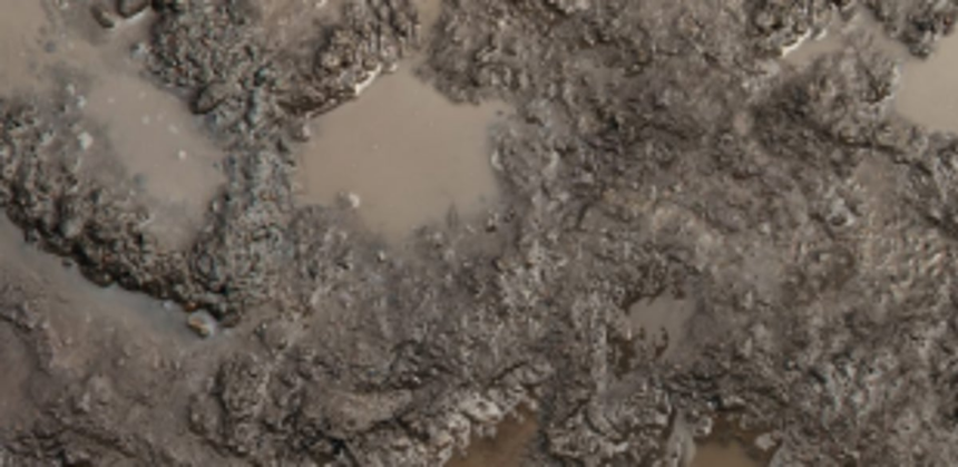 ‘Mud theft’ dominates Tivrem sabha