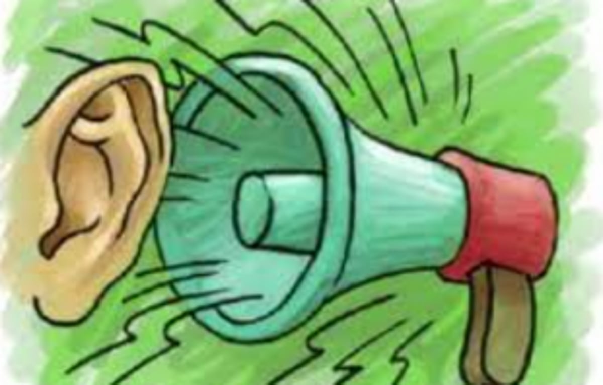 ‘New noise pollution regulation unreasonable’