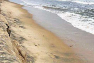 ‘Not incorporated suggestions in Chandor CZMP’