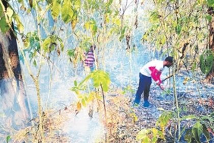 ‘Poor access to private forests in South Goa makes wildfires difficult to douse’