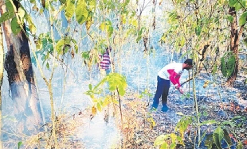 ‘Poor access to private forests in South Goa makes wildfires difficult to douse’