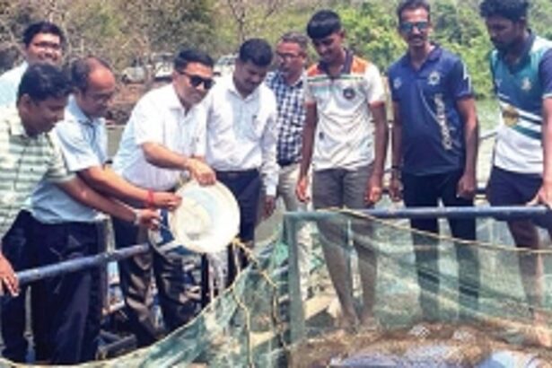 ‘Promoting cage fishing undermines Goa’s traditional fishing community’