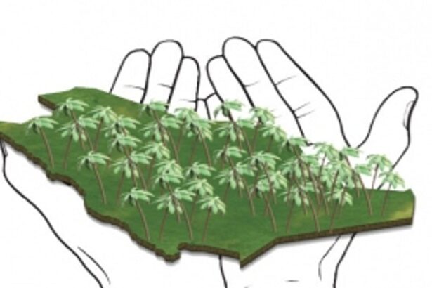 ‘Proposed TCP Amendments will allow influential few to exploit Goa’s eco-sensitive land resources’