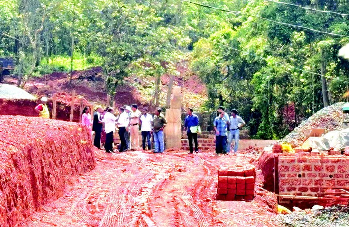 ‘Salvador do Mundo VP granted permit for ‘land development’, later inspected the site’