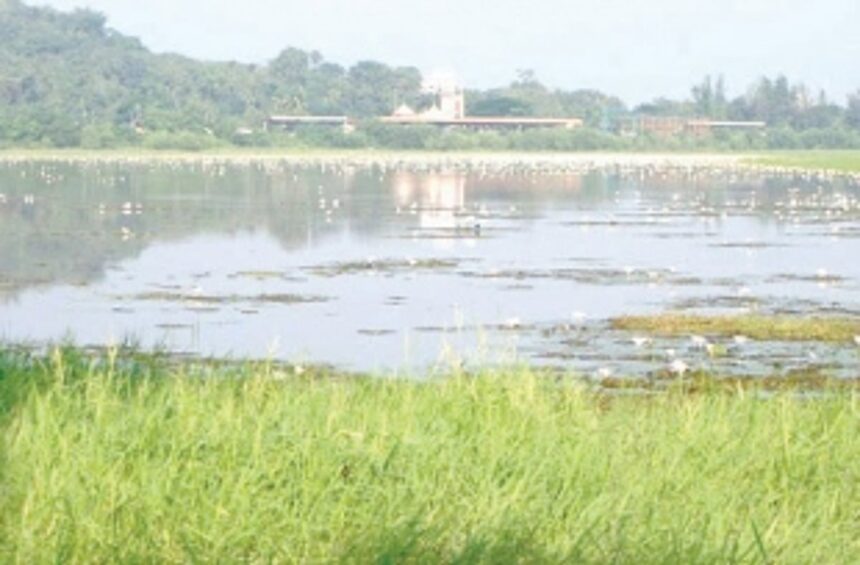 ‘Save Wetlands Campaign’ launched by MoEF&CC