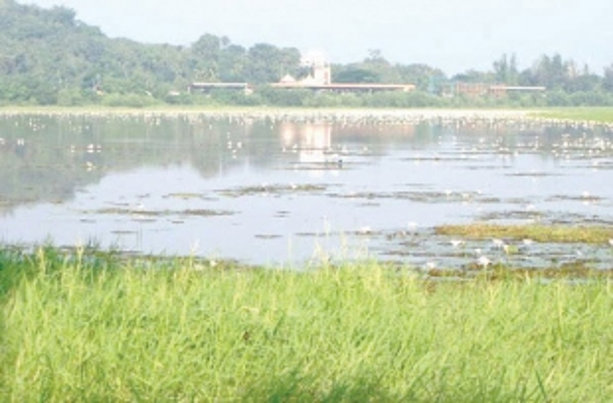 ‘Save Wetlands Campaign’ launched by MoEF&CC
