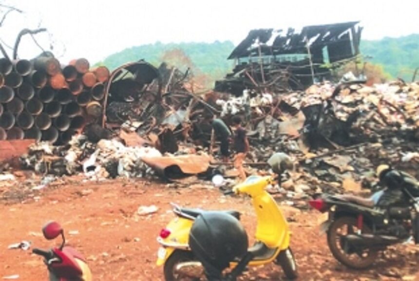 ‘Scrapyards pose risk of vector-borne diseases’