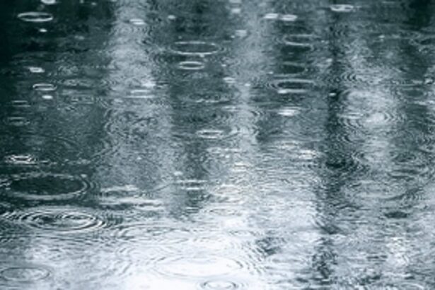 ‘Showers of blessing’ across  Goa bring respite to people  from the blistering heat