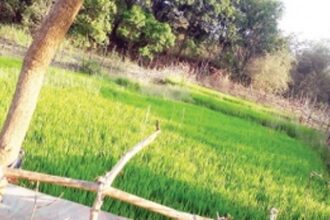 ‘THE SANGUEM SOIL HAS SPOKEN’, to avenge the insults made to farmers & about farms, on which the IIT campus was pushed