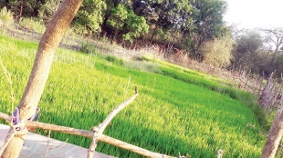 ‘THE SANGUEM SOIL HAS SPOKEN’, to avenge the insults made to farmers & about farms, on which the IIT campus was pushed