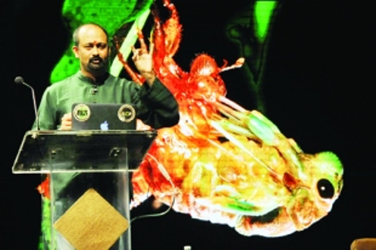 ‘The third world war will be about water’