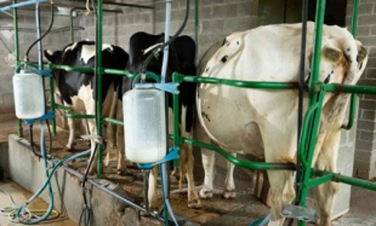 ‘Vision Document’ proposes  dairy clusters, estate