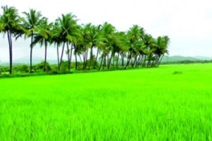 ‘We want to protect our Goenkarponn’