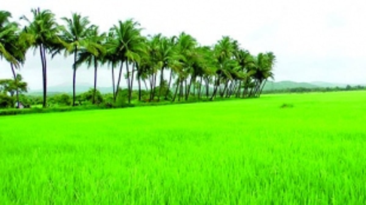 ‘We want to protect our Goenkarponn’