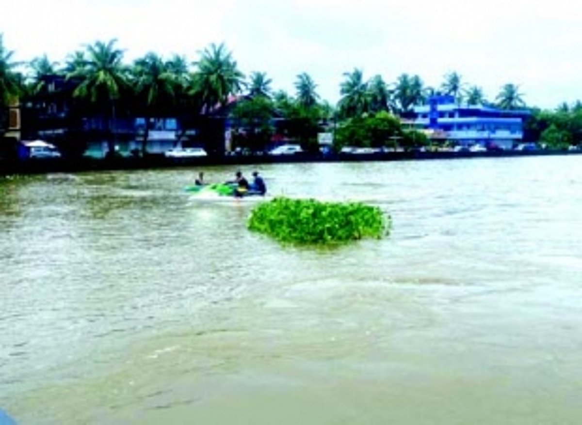 ‘Western Bypass construction will have ‘chronic impact’ on Benaulim’s biodiversity’