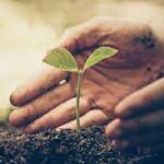 Center invites proposals to empower panchayats for plant genetic resource conservation