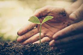 Center invites proposals to empower panchayats for plant genetic resource conservation 1 Center invites proposals to empower panchayats for plant genetic resource conservation