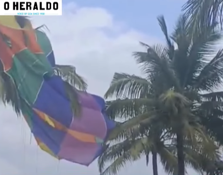 Parachute gets stuck in coconut tree at Varca, locals and tourists gather 1 ScreenShot Tool 20251023155437