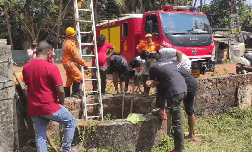Cow Rescued Safely After Falling Into Deep Well Near St. Anthony Chapel in Anjuna 1 Screenshot 2025 10 17 152344