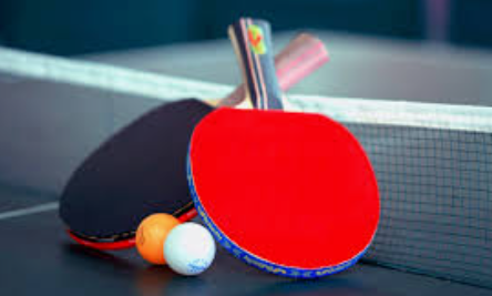 Ishaan, Aarish, Kedar, and Ashank Enter U-11 Semi-Finals at DBO-Edcon All-Goa TT Tournament 2025 1 Screenshot 2025 10 23 081057