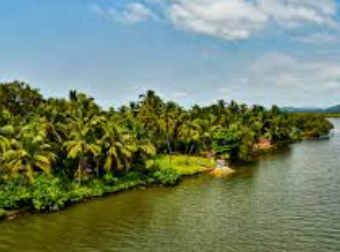 River Sal in Crisis: Verna Residents Demand Urgent Government Intervention to Save Goa’s Lifeline 1 Screenshot 2025 10 25 085826