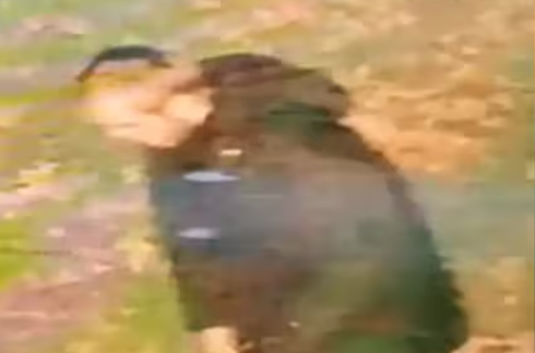UK Police Launch Manhunt After Racially Aggravated Rape of Indian-Origin Woman in Walsall 1 Screenshot 2025 10 27 091104