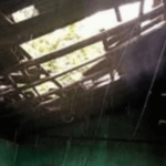 Screenshot 2025 10 29 124441