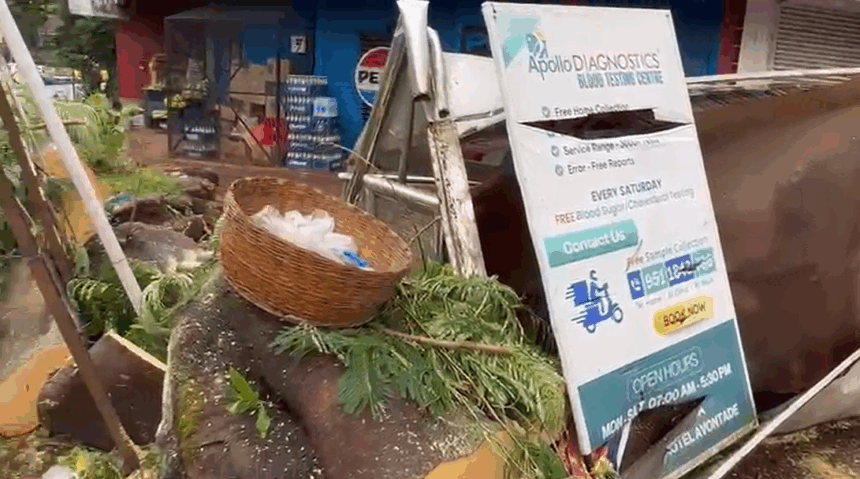 Major Mishap Averted as Tree Falls on Bus Stop in Tilamol, Quepem; Vendors Suffer Heavy Losses 1 Screenshot 2025 10 31 121220