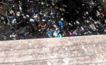 Urban Health Centre Issues Final Notice to Mapusa Municipality Over Filthy Market Conditions; Threatens to Seal Premises 1 Screenshot 2025 10 31 123943
