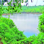 Toyyar Lake in Chimbel around which the Government of Goa notified a Wetland in 2021 ar