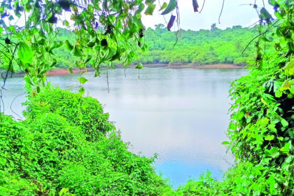 Toyyar Lake in Chimbel around which the Government of Goa notified a Wetland in 2021 ar