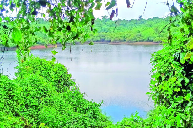 Toyyar Lake in Chimbel around which the Government of Goa notified a Wetland in 2021 ar