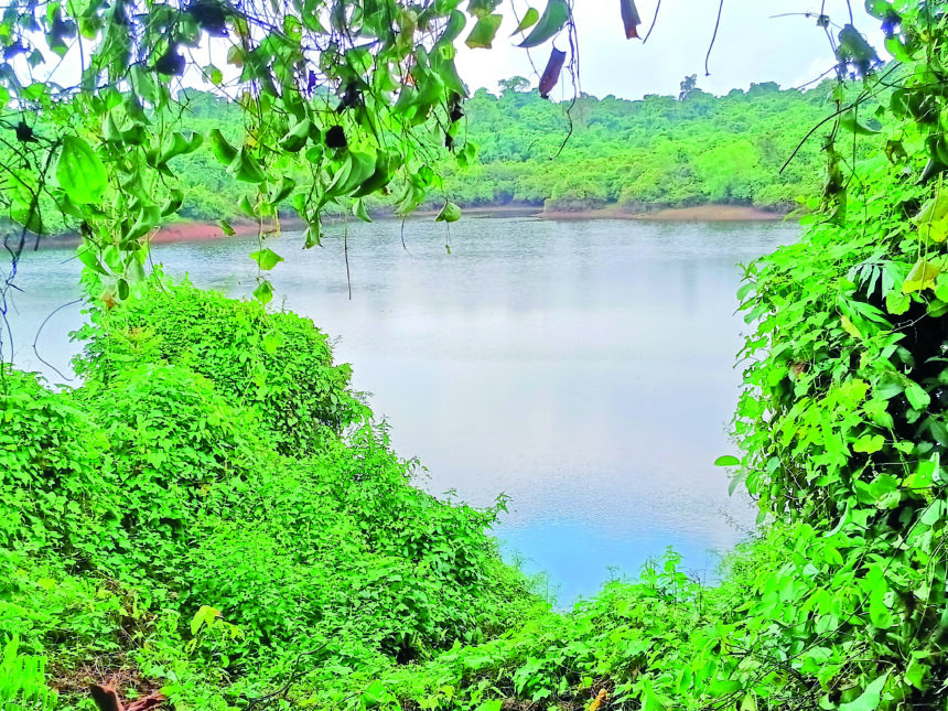 Toyyar Lake’s Official Wetland Tag Strengthens Chimbel Residents’ Protest Against Unity Mall Project 1 Toyyar Lake in Chimbel around which the Government of Goa notified a Wetland in 2021 ar