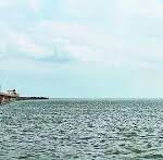 images 11