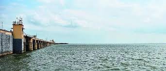 images 11