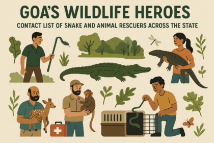 20251106 1139 Goa Wildlife Rescuers simple compose 01k9bwehc5e73r67n56sa5sted
