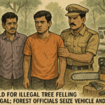 20251107 1531 Illegal Tree Felling Arrest simple compose 01k9ew3rfrfssbcg0zntnnc1x4
