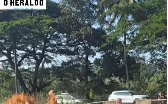 Guirim pipeline burst leads to massive water wastage 1 ScreenShot Tool 20251106174920