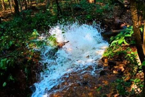 Officials deny pipeline damage at Redighat 1 ScreenShot Tool 20251115162200