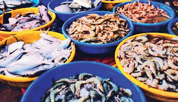 No Government Control on Fish Prices, Says Fisheries Minister Nilkanth Halarnkar 1 Screenshot 2025 11 11 090610