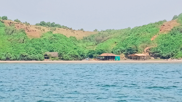 Turtle Nesting in Jeopardy: Forest Dept Says Dream Beach Is a Nesting Site, GCZMA Claims It’s ‘Awaiting Reply’ 1 Screenshot 2025 11 14 082015