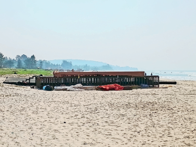Mandrem Beach Wedding Sparks Outrage at Olive Ridley Nesting Site; Tourism Dept Denies Permission 1 Screenshot 2025 11 20 084502