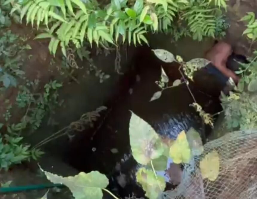 Bicholim Fire Department Rescues Youth Who Fell Into Well in Karapur 1 WhatsApp Image 2025 11 29 at 11.32.47 AM