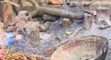 DSPCA, Goa Police, and Gaurakshaks seize suspected illegal beef in Navelim 1 image 3