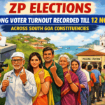 20251220 1556 Robust Voter Turnout simple compose 01kcxmqfcpem5ajmh9p2tfkgpm
