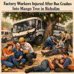 20251230 1126 Bus Crash Incident simple compose 01kdpx80ebfgvvc6y77jqqcb5e