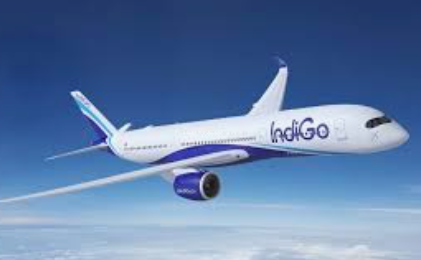 IndiGo Crisis Deepens: Eight More Flights Cancelled at Goa’s Dabolim Airport 1 Screenshot 2025 12 05 101111