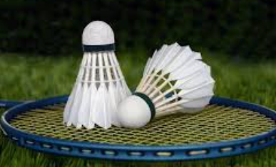 Goa to Host State Badminton Team Championship on Dec 7 With Eight Franchise Teams Competing 1 Screenshot 2025 12 06 080854
